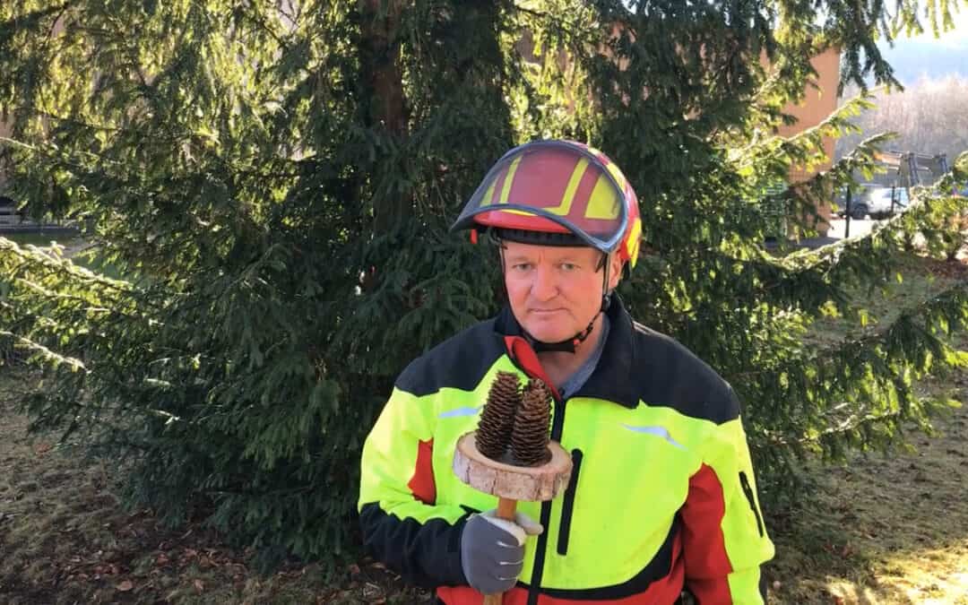Waldcampus Traunkirchen: Förster und Baumpfleger an der forstlichen Ausbildungsstätte