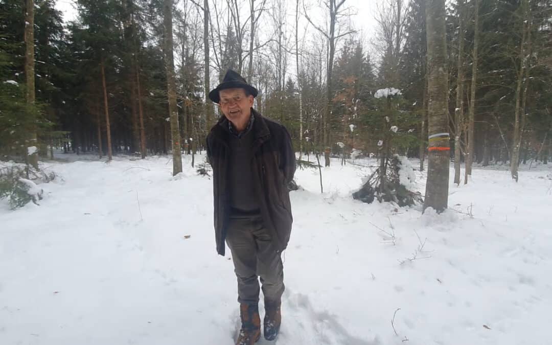 Baumartenvielfalt – das “Badesalz” für das Waldbaden