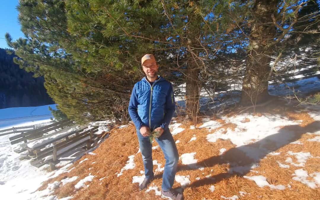 Hans Peter und die Zirben