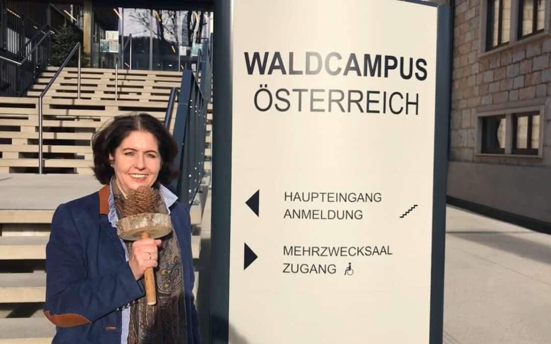 Waldcampus Traunkirchen