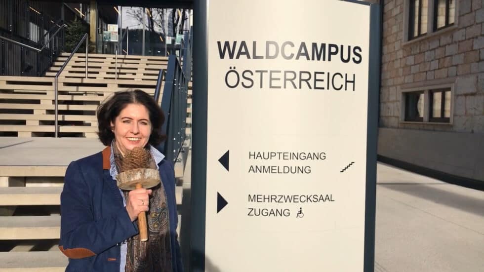 waldgeschichten-wald-app-wald-video-waldcampus-oesterreich