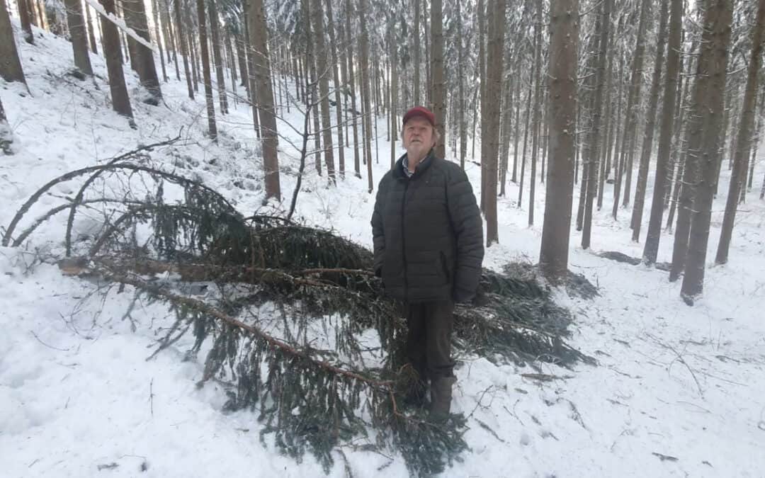 Joachim bekämft den Borkenkäfer