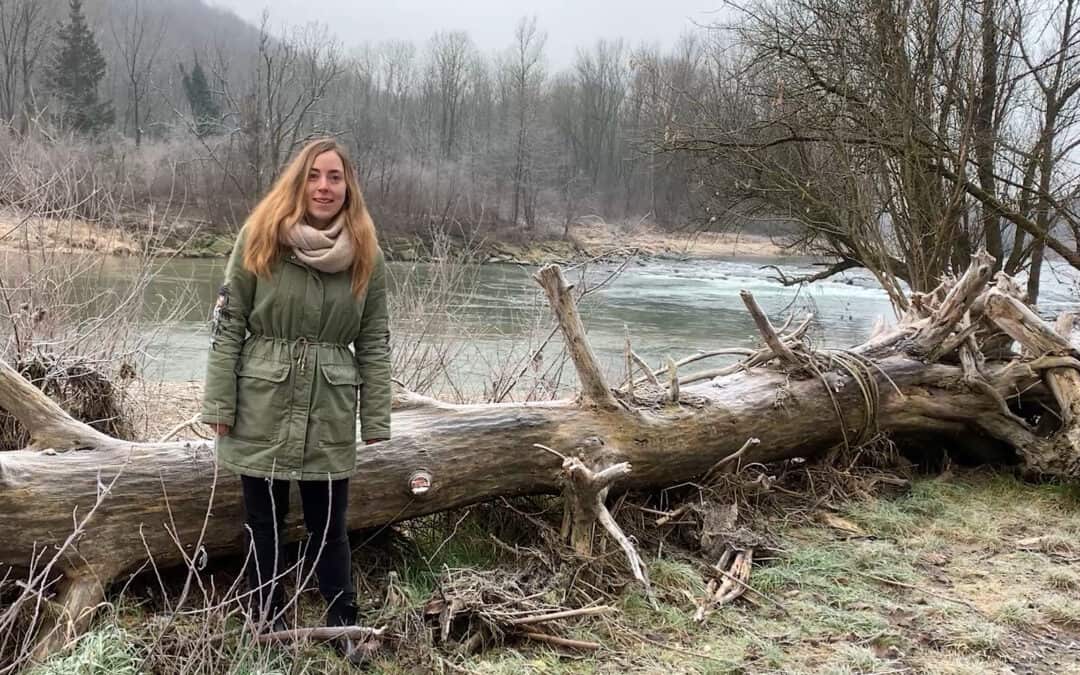 Auwälder – Regenwälder Mitteleuropas