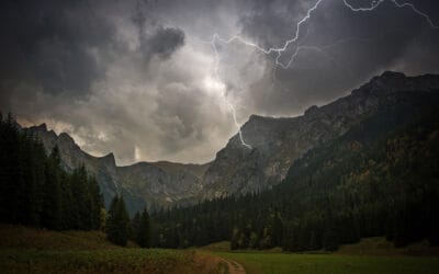 Wald im Klimawandel: Herausforderungen für den Schutz vor Naturgefahren