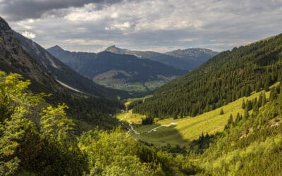 waldgeschichten-waldwirkung-schutz-des-waldes-kleinwalsertal-landschaft