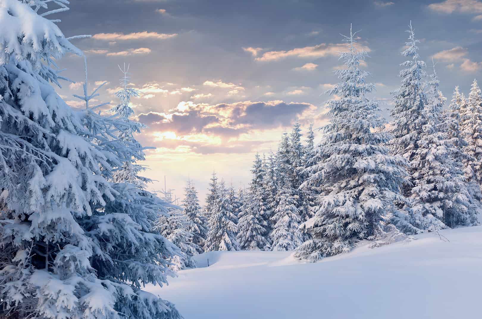 waldgeschichten-tipp-wald-winter-winterwaldwald-tief-verschneit-sonnenaufgang-am-horizont