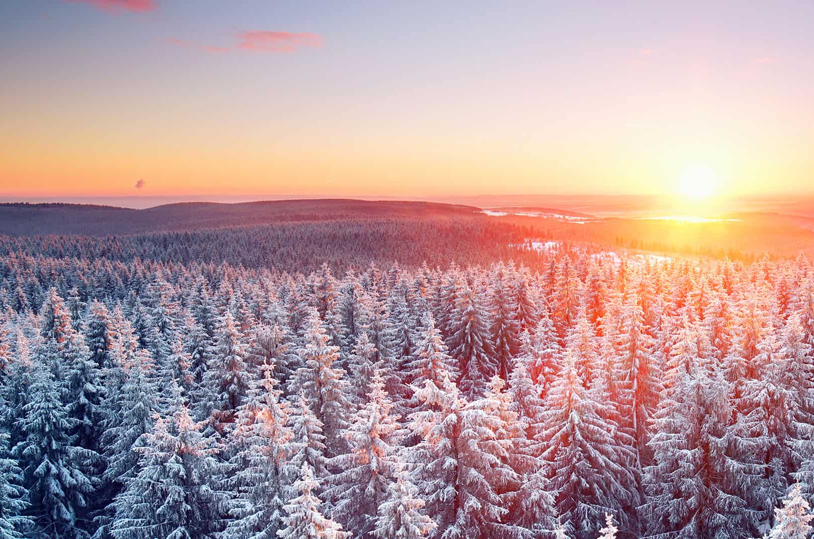 waldgeschichten-der-wald-im-winter