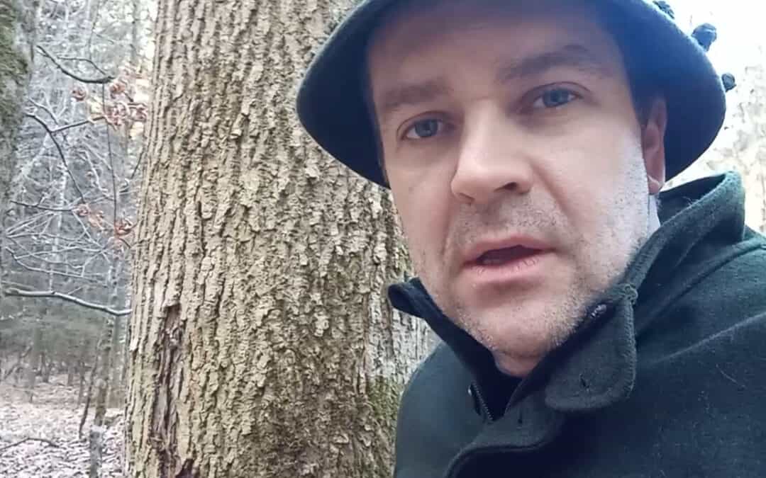 Befallene Esche: Hans erklärt uns, warum es der Esche nicht gut geht