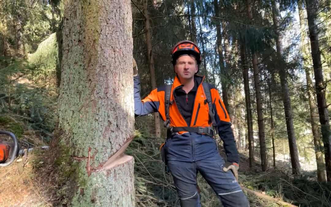 Gerald erklärt, wie er einen Baum erntet