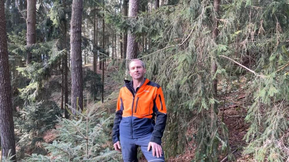 waldgeschichten-wald-video-wald-app-spechtbaeume