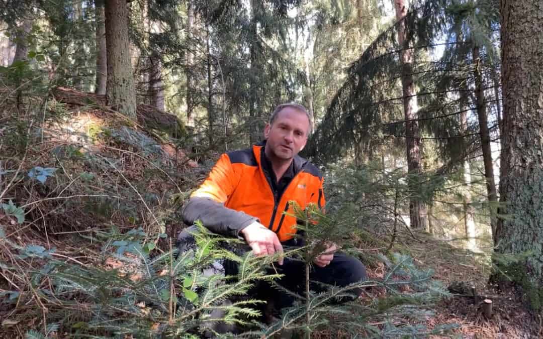 Leidenschaft von Gerald: seinen Wald in einen Plenterwald umwandeln