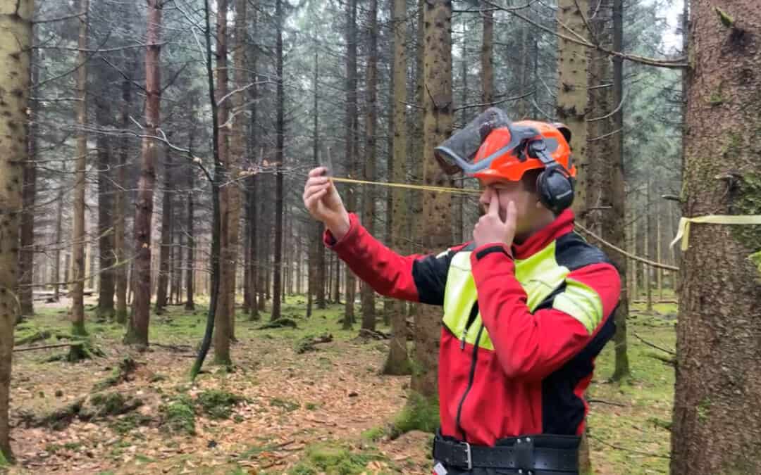 LWS Burgkirchen: Einblick in den Praxisunterricht – der Zukunftsbaum