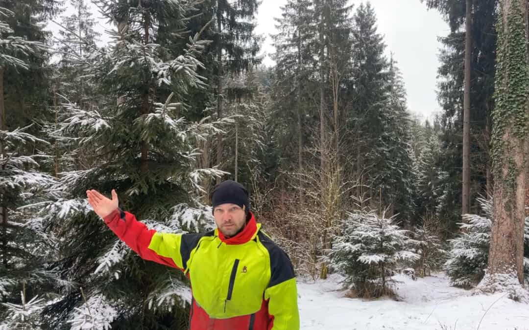 Sebastian möchte seinen Wald klimafit der nächsten Generation übergeben