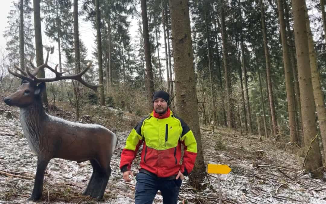 Sebastians Wald als Wohlfühloase