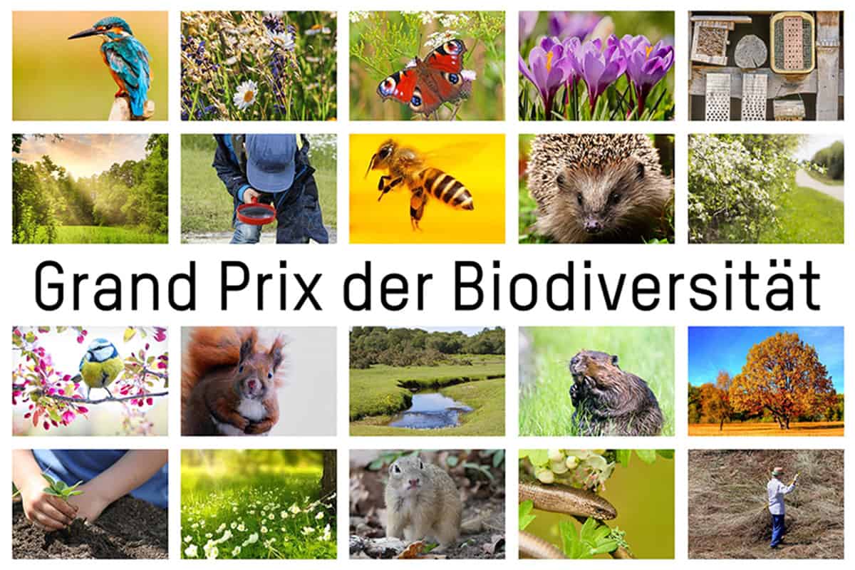 Waldgeschichten-Grand-Prix-der-Biodiversitaet-c-Naturschutzbund