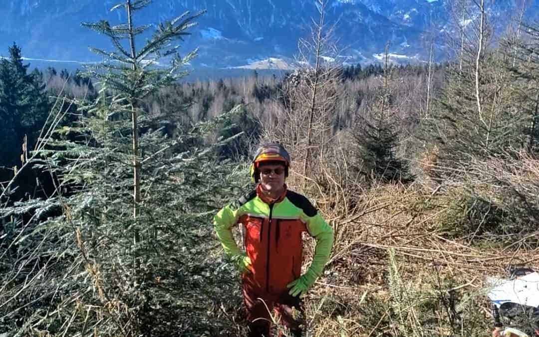 Günter ist gerade bei der Dickungspflege