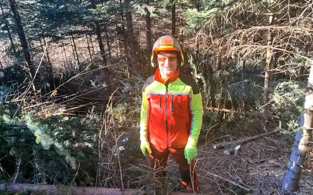 Mit der Jagd gemeinsam die Wälder gestalten