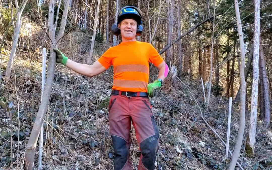 Wildverbiss mindert nicht nur die Qualität, sondern auch die Stabilität des Waldes