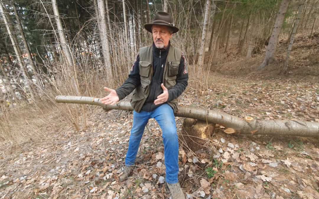 Jörg baut seinen Wald von der Monokultur zum klimafitten Mischbestand um