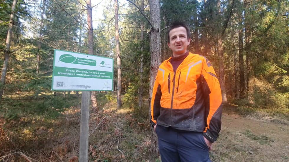 waldgeschichten-app-wald-video-thomas-moechte-wertholz-produzieren