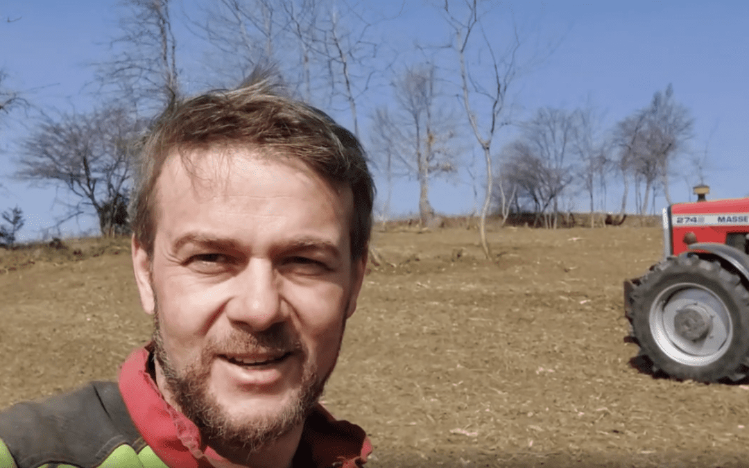 Franz setzt bewusst auf die Kirsche als Bienennahrung