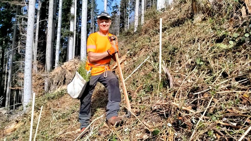 waldgeschichten-app-video-naturverjuengung-im-wald-in-vorarlberg-guenter-erzaehlt