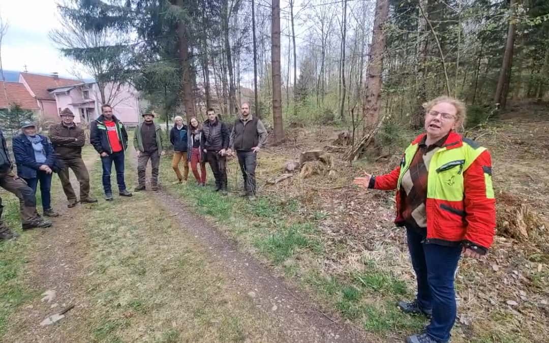 FAST Pichl: Zertifikatslehrgang Wald- und Naturraumökologie