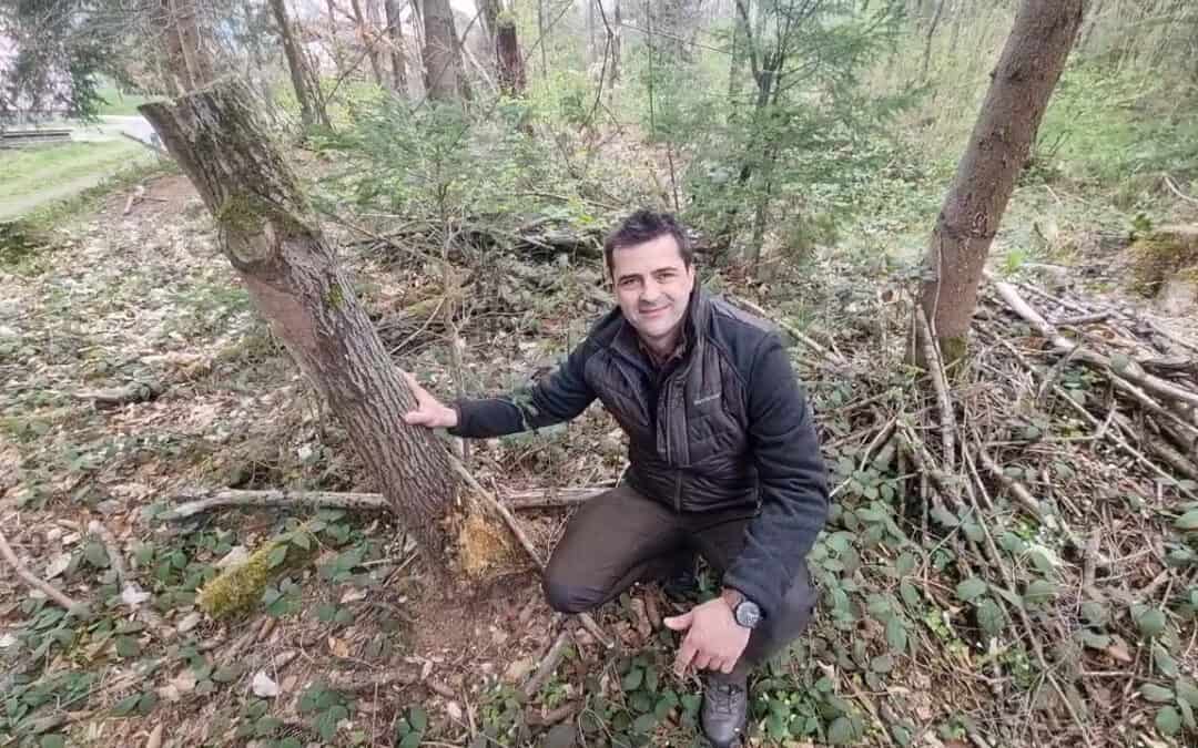 Totholz im Wald ist für Michael kein Grund zur Trauer