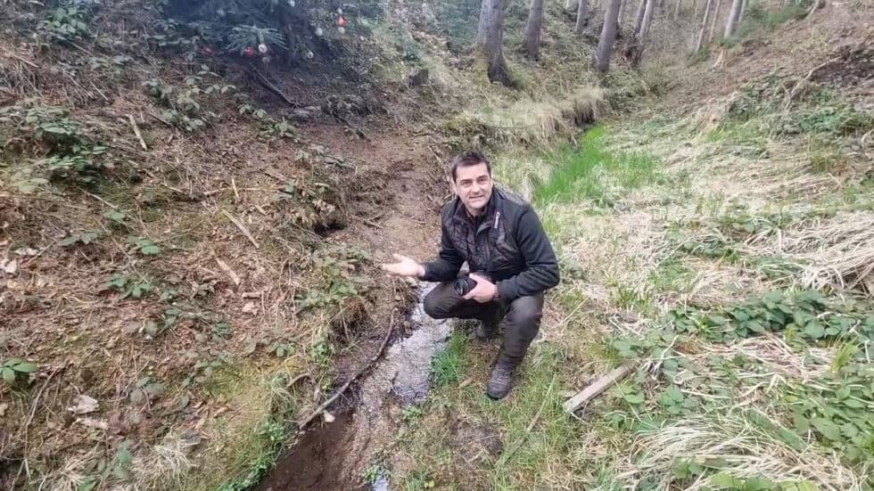 waldgeschichten-video-wald-app-michael-erklaert-die-bedeutung-vom-lebensraum-wasser-im-wald