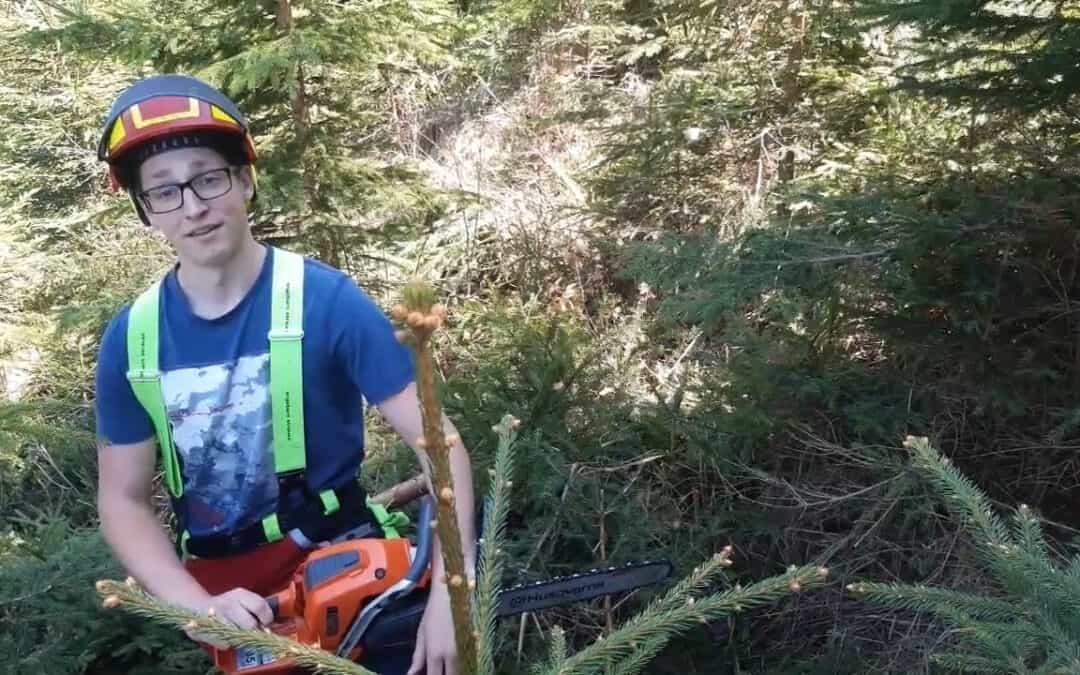 Andreas stellt uns die Stammzahlreduktion vor