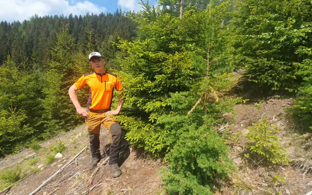 Daniel erzählt uns Interessantes zur Dickungspflege