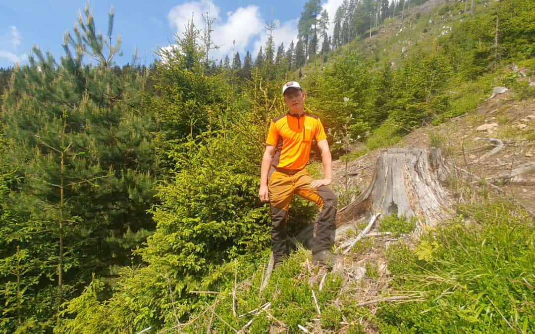 Tipps für die Waldbewirtschaftung in steilen Lagen