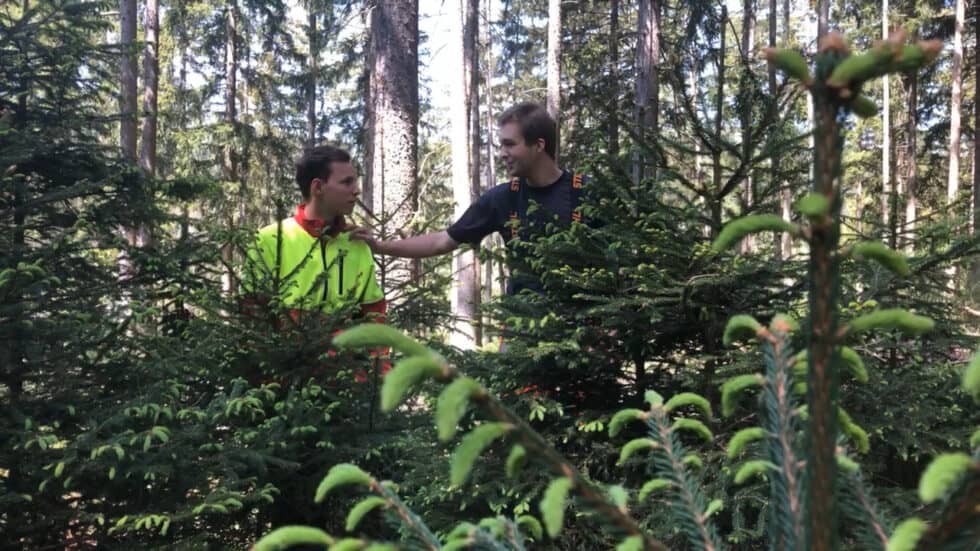 waldgeschichten-video-wald-app-naturverjuengung-erklaert