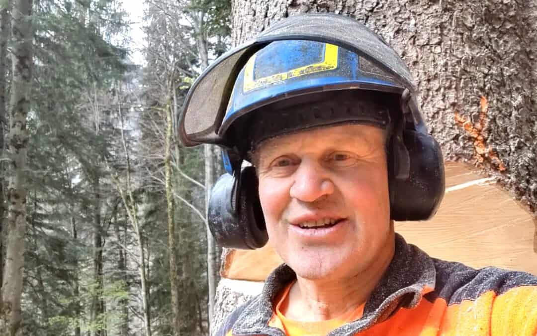 Günter verjüngt den Schutzwald