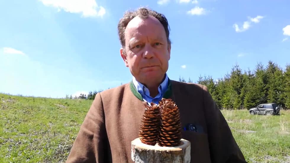 waldgeschichten-video-wald-app-wie-dem-klimawandel-herr-werden-erklaert