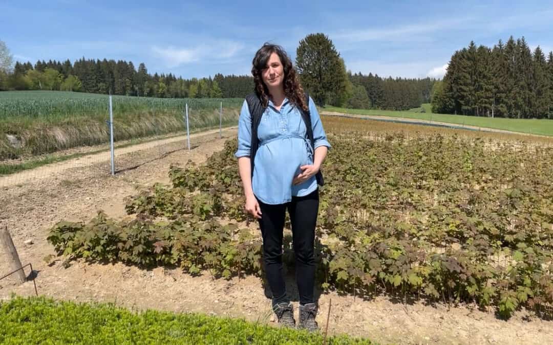 Viktoria zeigt uns die “Krabbelstube” ihrer Forstpflanzenproduktion