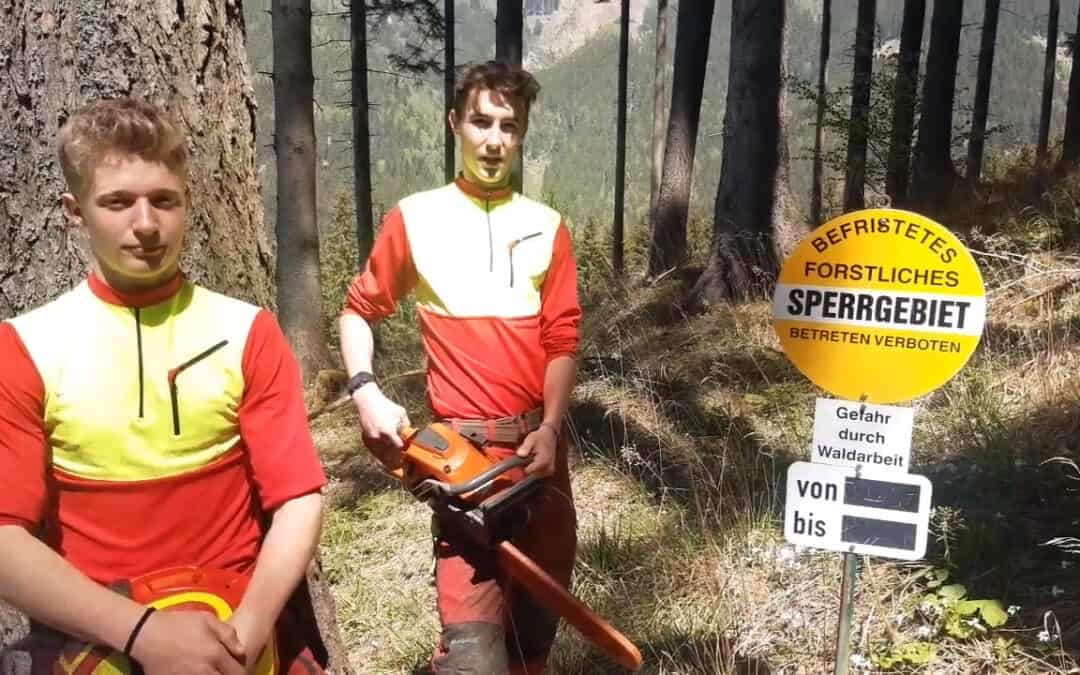 Sicherheit im Wald für alle
