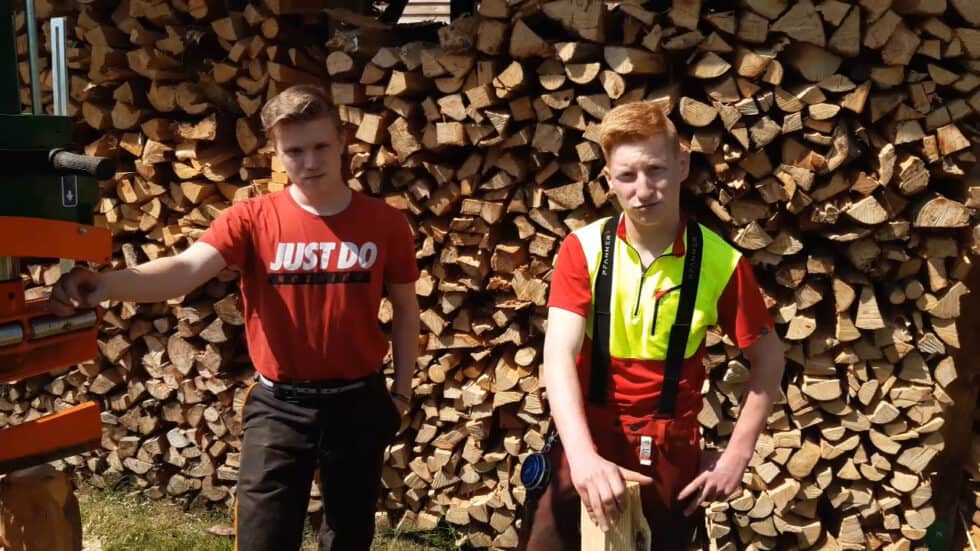 waldgeschichten-video-wald-app-heizen-mit-dem-nachwachsenden-energietraeger-holz-erklaert