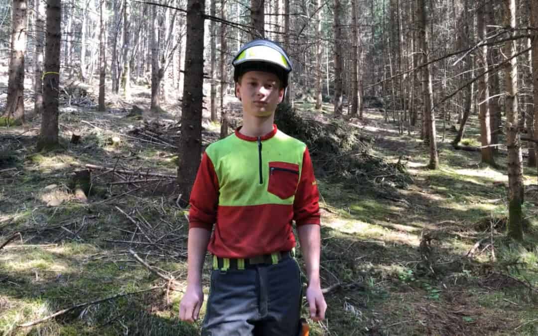 Die Waldpflege ist enorm wichtig für stabile und klimafitte Wälder