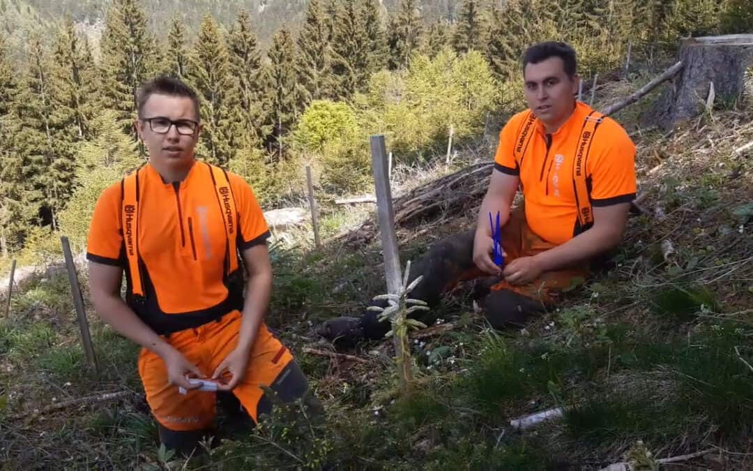 Markus und Bernhard erklären, wie sie Bäume schützen