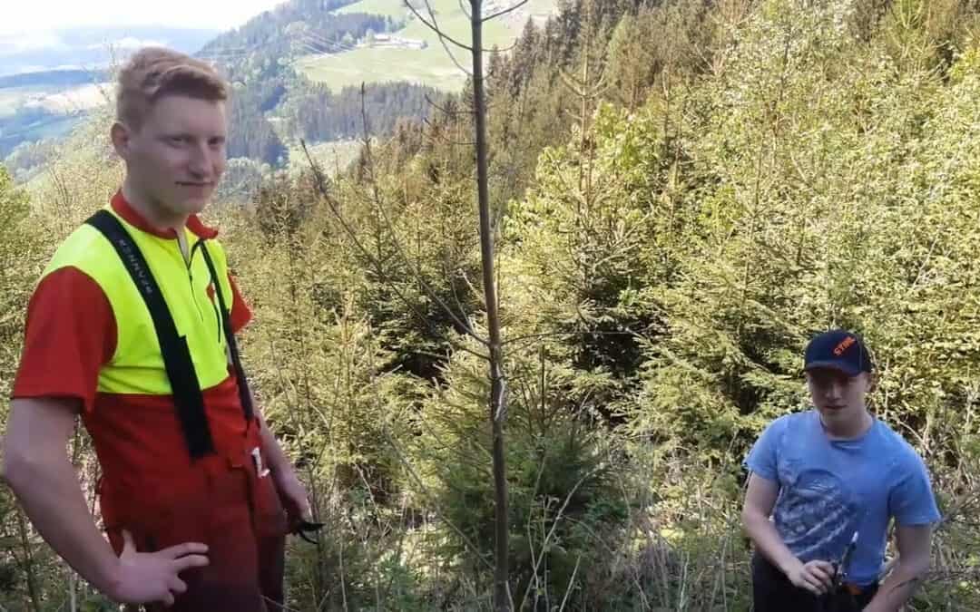 Niklas, Lukas und der Chefast – Wertastung erklärt!