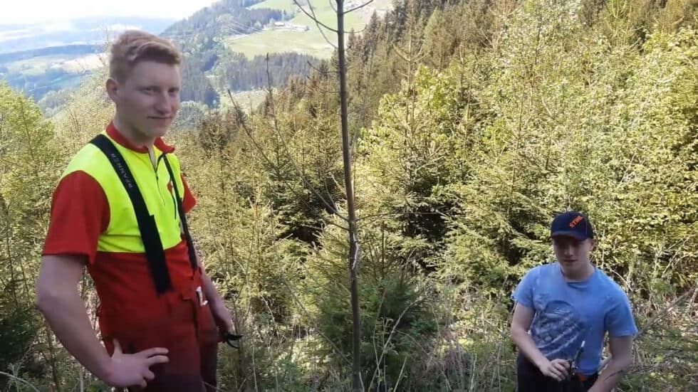 waldgeschichten-video-wald-app-wertastung-erklaert