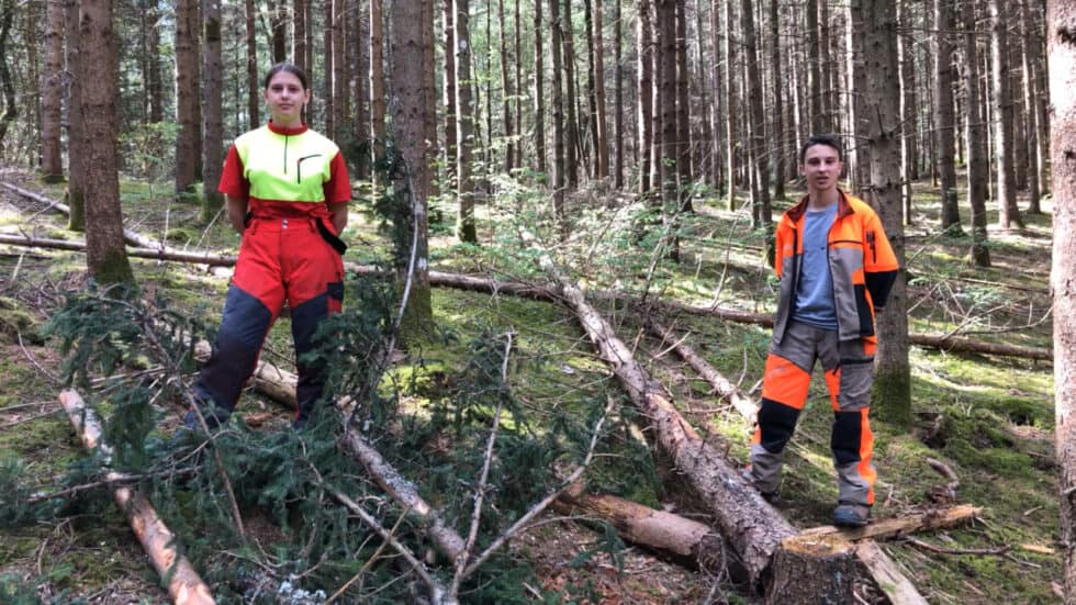 waldgeschichten-video-wald-app-waldhygiene-erklaert-von-forstschuelern