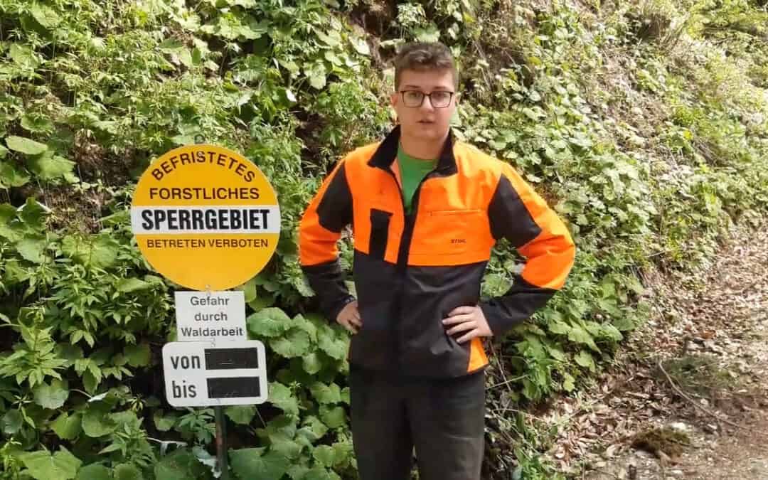 Sicher im Wald arbeiten