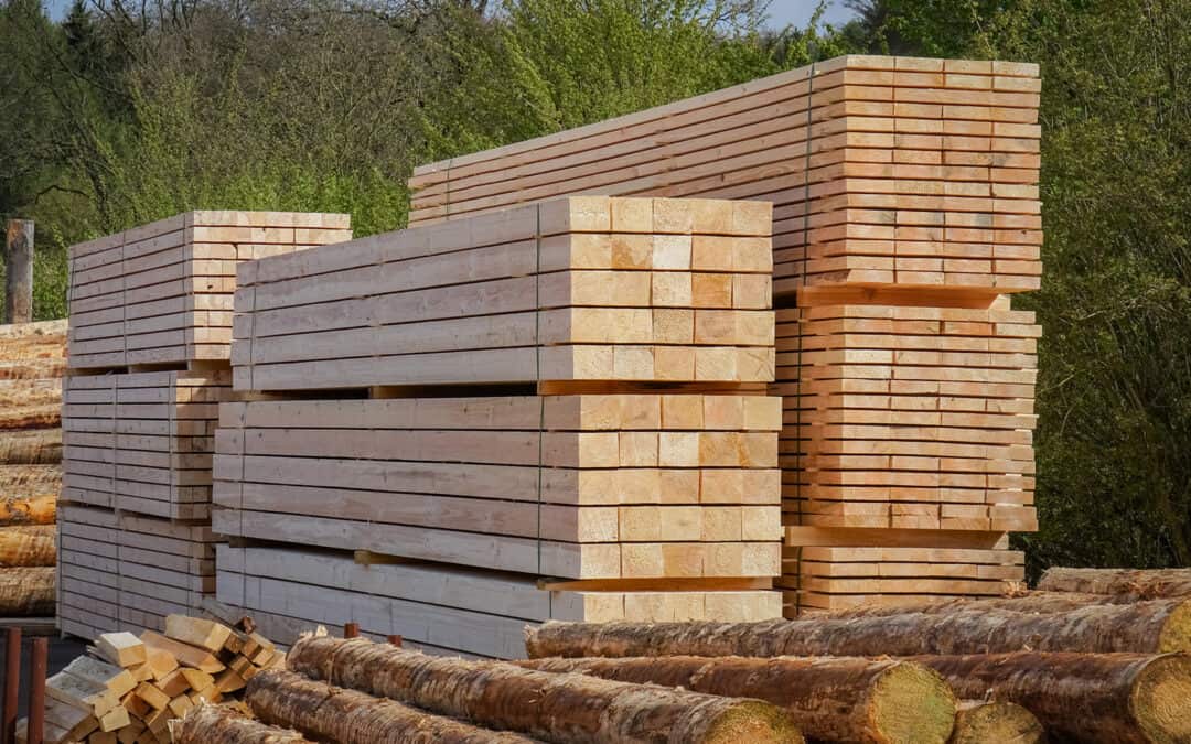 Wie die Waldbewirtschaftung und die Holzverwendung dem Klimaschutz helfen