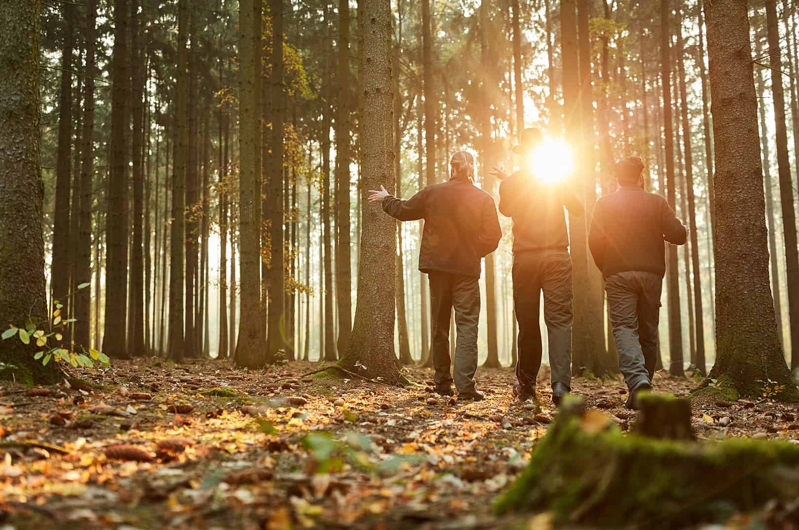 waldgeschichten-wald-beratung-forstwirte-begutachten-wald