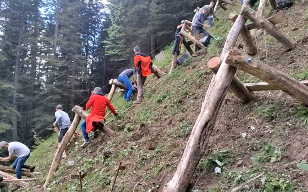 Günter erschafft mit Freiwilligen einen neuen Schutzwald in Vorarlberg
