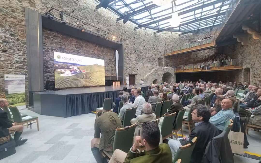 Österreichische Forsttagung 2022