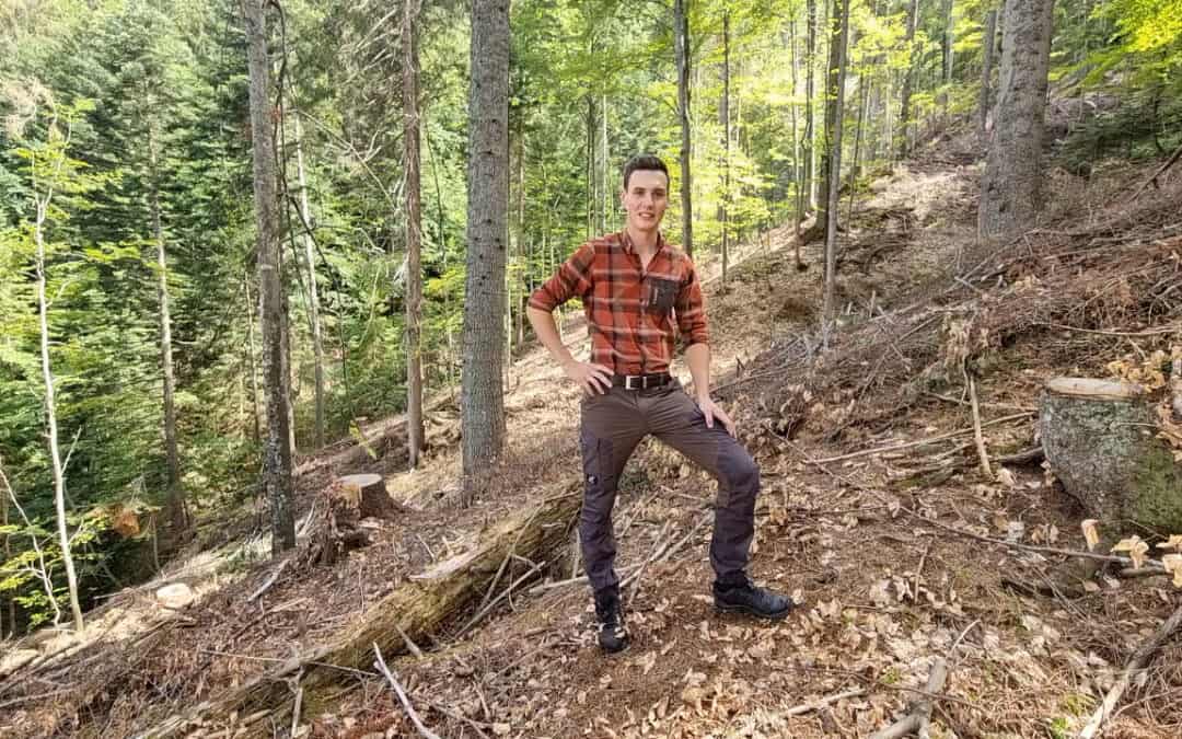 Die Naturverjüngung durch Bewirtschaftung mit Vorlichtung einleiten