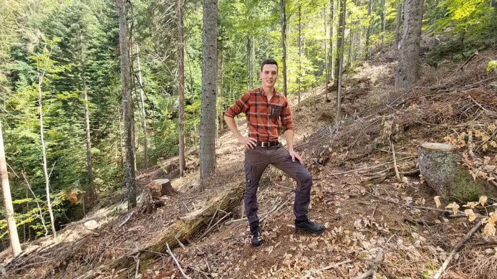 waldgeschichten-video-wald-app-naturverjuengung-durch-bewirtschaftung-erklaert-im-video